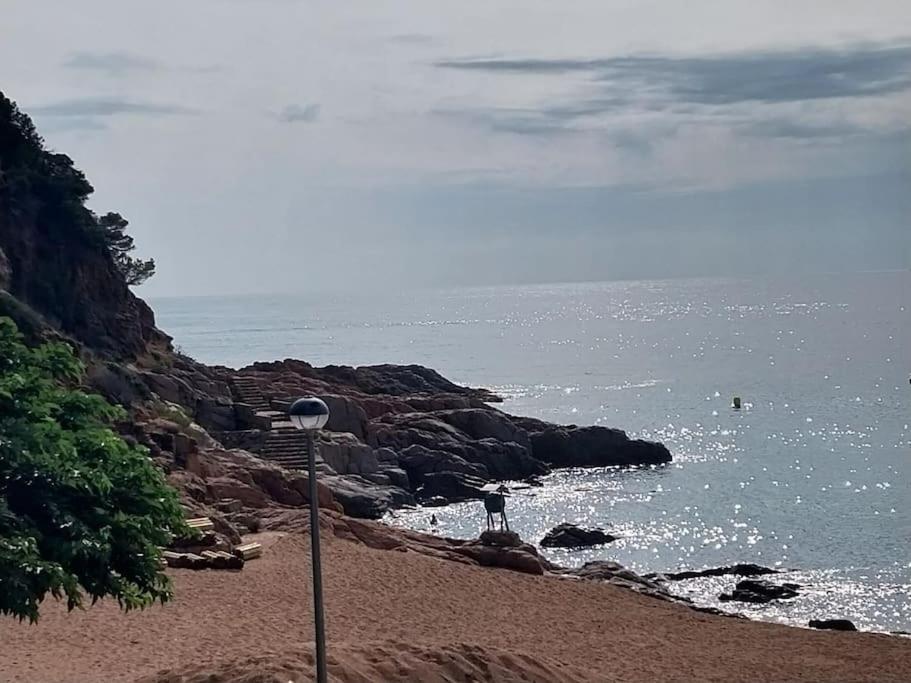 Cala Salions Balandro II Tossa De Mar Διαμέρισμα Canet De Mar Εξωτερικό φωτογραφία