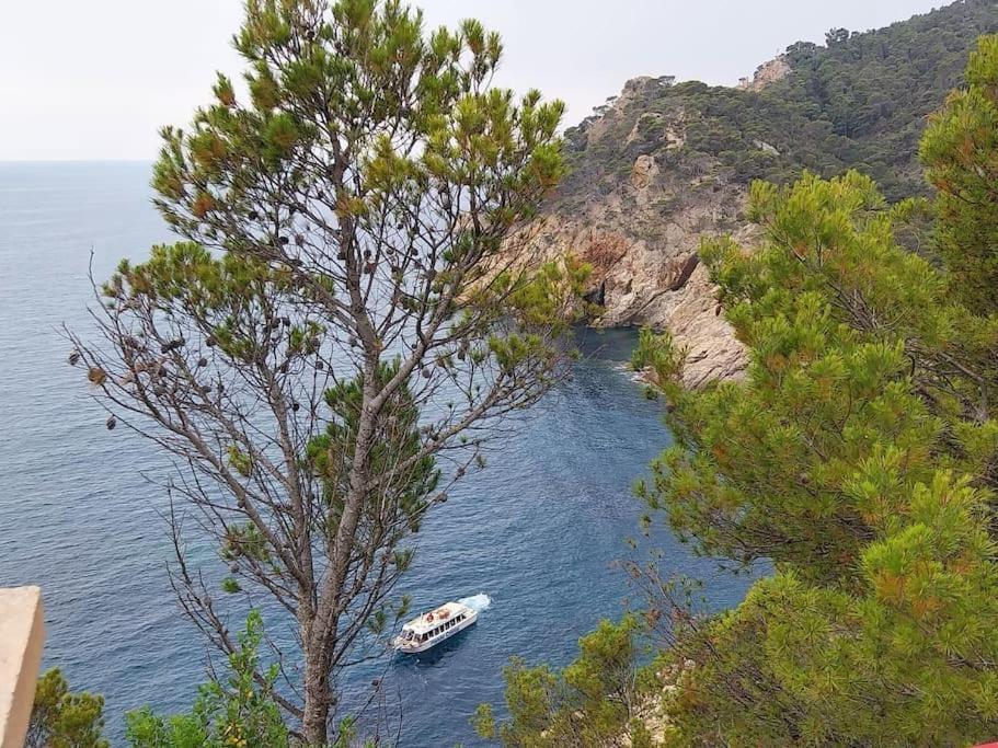 Cala Salions Balandro II Tossa De Mar Διαμέρισμα Canet De Mar Εξωτερικό φωτογραφία