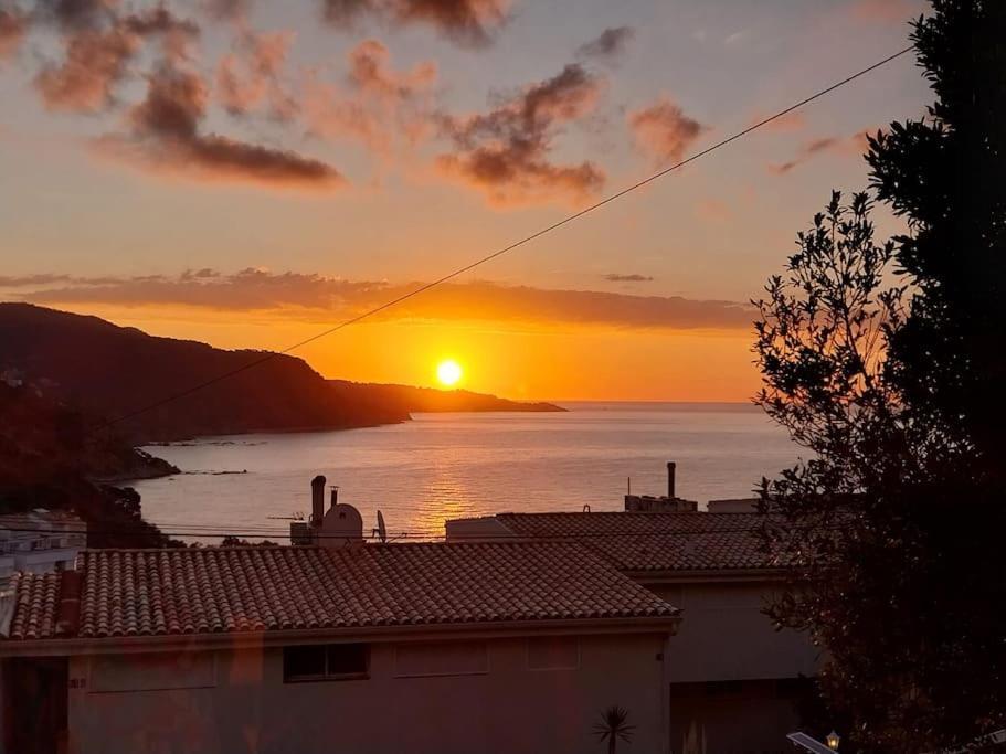 Cala Salions Balandro II Tossa De Mar Διαμέρισμα Canet De Mar Εξωτερικό φωτογραφία