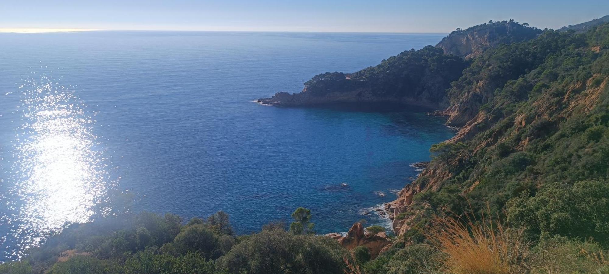 Cala Salions Balandro II Tossa De Mar Διαμέρισμα Canet De Mar Εξωτερικό φωτογραφία