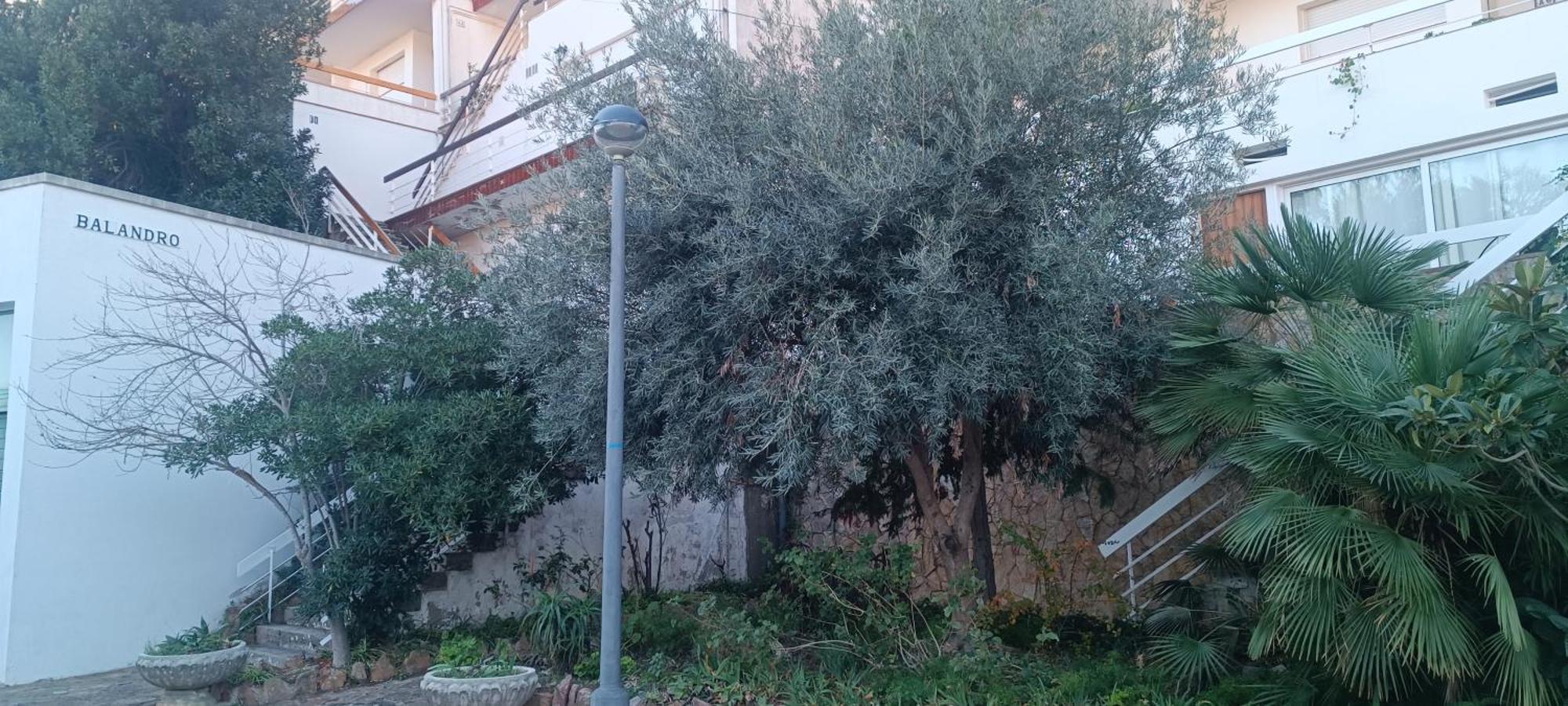 Cala Salions Balandro II Tossa De Mar Διαμέρισμα Canet De Mar Εξωτερικό φωτογραφία